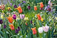 Lit avec des tulipes 