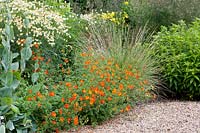 Jardin de graviers avec plantes vivaces et graminées, Rudbeckia maxima, Potentilla, Festuca mairei, Chrysanthemum serotinum Table de fête 