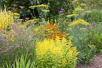 Literie orange et jaune, Helenium, Solidaster Lemore, Anethum graveolens, Pennisetum orientale Karley Rose 