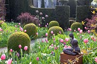 Jardin à la française avec tulipes et jonquilles, Tulipa Pink Impression, Tulipa Pink Diamond, Tulipa Rosalie, Tulipa Violet Beauty, Narcissus Bellsong 