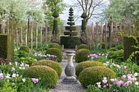 Jardin à la française avec tulipes, Tulipa Synaeda Amor, Tulipa Shirley, Tulipa Lilac Cup 