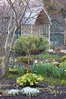Jardin en hiver, Narcisse, Helleborus orientalis Double Primrose, Iris reticulata Katherine Hodgkin 