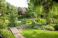 Jardin potager avec pelouse et pâturage avec rosier grimpant, Salix babylonica, rose violet bleu 