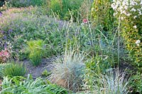 Le pâturin et le géranium sanguin, Elymus magellanicus, géranium 