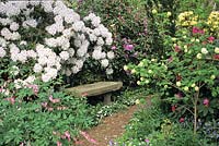 Jardin avec rhododendrons 