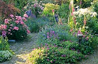 Jardin de cottage, géranium, rose, nigelle 