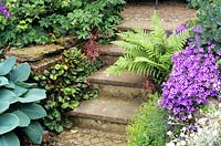 Escaliers avec plantes 