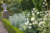 Jardin blanc 