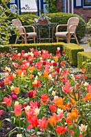 Jardin avec tulipes 
