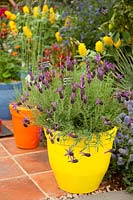 Jardin/terrasse oriental avec pots colorés 