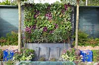 Petit jardin avec mur végétal vertical 