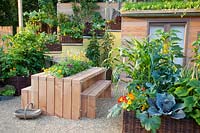 Petit jardin avec légumes dans des paniers en osier 