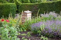 Potager avec lavande 