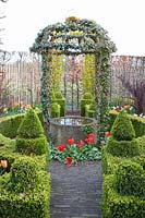 Salon de jardin formel avec fontaine et tonnelle de lierre, Tulipa Henry Hudson 