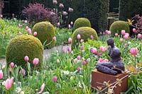 Jardin formel avec tulipes et jonquilles,Tulipa Pink Impression,Tulipa Pink Diamond, Tulipa Rosalie, Tulipa Violet Beauty, Narcissus Bellsong, 