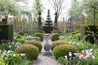 Jardin à la française avec tulipes, Tulipa Synaeda Amor,Tulipa Shirley, Tulipa Lilac Cup 