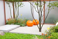 Petit jardin moderne,Geum,Stipa tenuissima, Galium odoratum 
