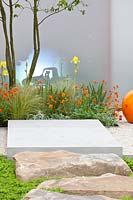 Petit jardin moderne avec projection d'arrière-plan, Geum, Stipa tenuissima, Iris 