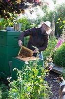 Margret Wermert apiculture 