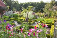Jardin au milieu de l'été, Lathyrus odoratus, Buxus 