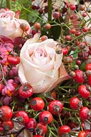Décoration avec baies et fleurs, Rosa Upper Secret, Euonymus alatus 