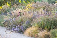 Jardin d'automne, Aster Rubinschatz, Calamagrostis brachytricha, Pennisetum alopecuroides Little Bunny, Eupatorium 