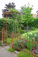 Jardin de devant avec coin salon, Alchemilla mollis ; Iris barbata; Liquidambar styraciflua; Heuchère 
