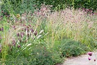 Lit avec herbe tremblante, chartreuse et euphorbe, Briza media, Briza maxima, Dianthus carthusianorum, Euphorbia cyparissias 