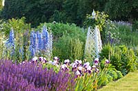 Lit avec Delphinium Summer Skies, Delphinium Camelot, Salvia nemorosa Mainacht, Iris barbata Braithwaite, Clematis 