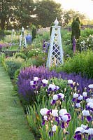 Lit avec Delphinium Summer Skies, Salvia nemorosa Mainacht, Iris barbata Braithwaite, Clematis 