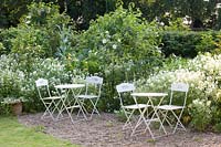 Jardin blanc, Géranium pratense Alba, Centranthus ruber Albus, Rosa alba Semiplena 