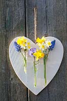 Coeur avec petits vases et plantes bulbeuses, Muscari armeniacum, Narcissus Tete a Tete, Narcissus Minnow, Viola cornuta 