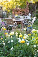 Lit avec Pomponette Tulipa Jaune, Tulipa viridiflora Spring Green, Tulipa White Heart 