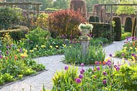 Jardin formel, Taxus, Tulipa Reine de la nuit, Tulipa Negrita, Tulipa Princess Irene, Narcissus WPMillner, Berberis thunbergii 
