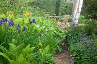 Siège dans le jardin forestier,Dryopteris,Iris sibirica,Aquilegia 