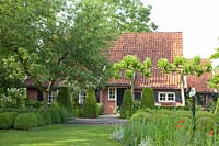 Jardin avec topiaire, Buxus 