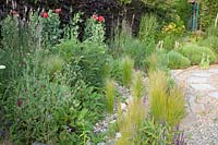 Jardin de gravier, Stipa tenuissima, Nassella tenuissima, Linaria purpurea, Papaver somniferum 