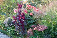 Amaranthus cruentus, Sedum Autumn Joy, Dahlia American Dawn, Dahlia David Howard 