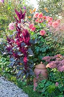 Lit avec Amaranthus cruentus, Sedum Herbstfreude, Dahlia American Dawn, Dahlia David Howard 