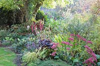 Jardin d'automne, Sedum Herbstfreude, Heuchera, Aster, Liriope muscari 