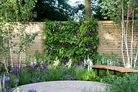 Mur végétal dans petit jardin, fougères, Heuchera, Salvia nemorosa Caradonna, Digitalis purpurea 