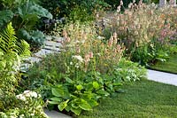 Verbascum ,Geum Totalement Tangerine, Astrantia étoile majeure de la beauté', Hosta 