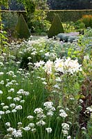 Jardin de ferme avec légumes et herbes, Allium tuberosum, Buxus, Helichrysum italicum, Lilium regale 