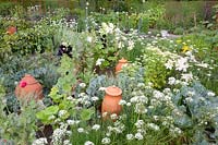Jardin de chalet avec légumes et fines herbes, Allium tuberosum, Lilium regale, Crambe maritima 