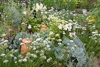 Jardin de chalet avec légumes et herbes, Allium tuberosum, Lilium regale, Crambe maritima 