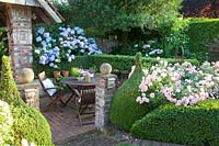 Terrasse dans le jardin, Vent d'été rose, Hydrangea macrophylla Endless Summer, Buxus 