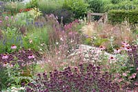 Origanum laevigatum Rose Dome, Echinacea purpurea, Gaura lindheimeri Siskiyou Pink, Achillea millefolium Apple Blossom 