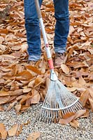 Ratisser les feuilles d'automne sur les surfaces de gravier 