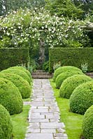 Jardin classique et pergola avec rosiers grimpants, Rosa New Dawn 