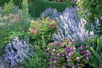 Combinaison Rose et Cataire, Rosa Bluesy, Nepeta faassenii Six Hills Giant 